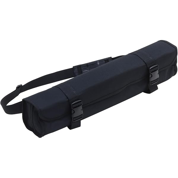 Amazon | Akai Professional EWI専用 ソフトケース EWI Solo、EWI5000